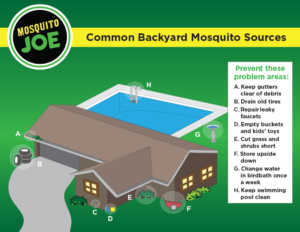 mosquito sources
